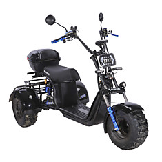 Электроскутер SKYBOARD TRIKE BR40-3000 OFF-ROAD